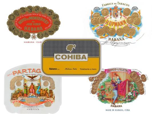 Multi-Brand Releases Logo