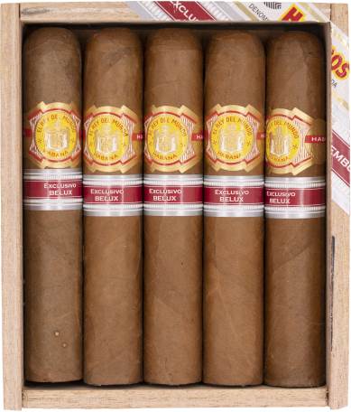 El Rey del Mundo Choix du Roi image 5