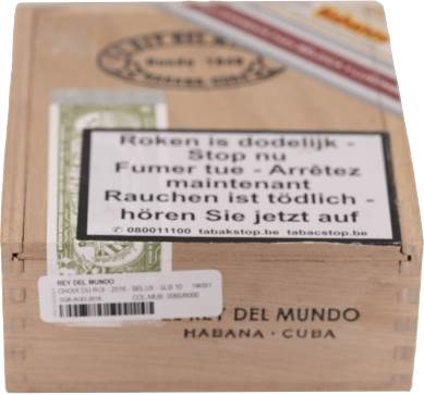 El Rey del Mundo Choix du Roi image 2