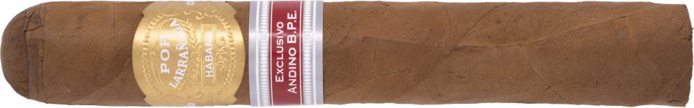 Fuego del Cañón - 1