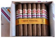 Punch Super Robusto image 2