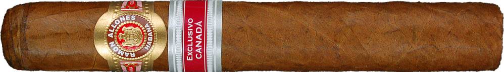 Gordito de Allones - 1