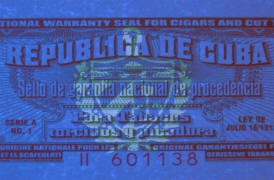 Warranty Seal - 1999 to 2009/2011 UV shield